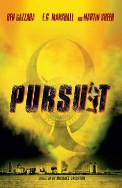 Pursuit