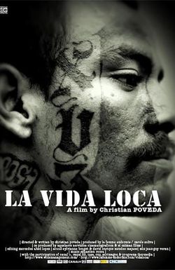 La vida loca