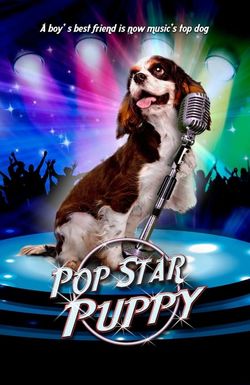 Pop Star Puppy