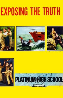 Platinum High School