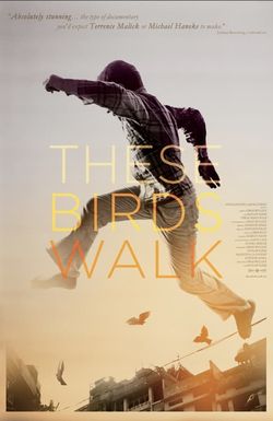 These Birds Walk