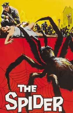 The Spider