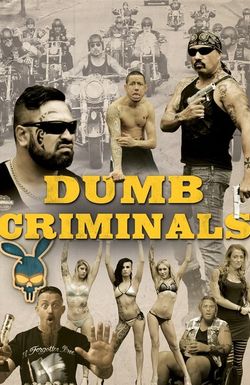 Dumb Criminals: The Movie