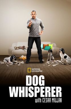 Dog Whisperer with Cesar Millan