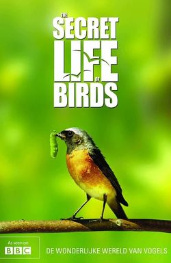 The Secret Life of Birds