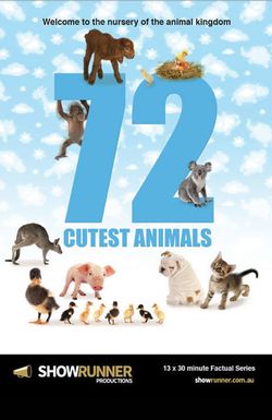 72 Cutest Animals