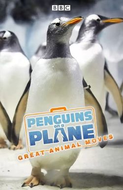 Penguins on a Plane: Great Animal Moves