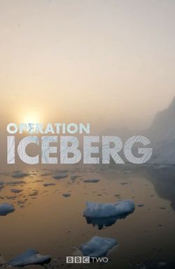 Operation Iceberg