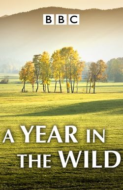 A Year in the Wild