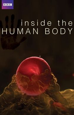 Inside the Human Body