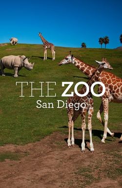 The Zoo: San Diego