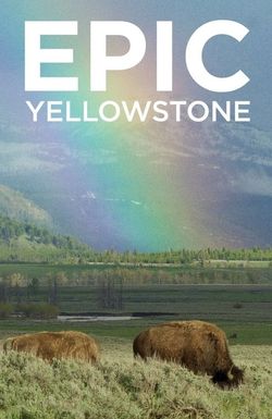 Epic Yellowstone