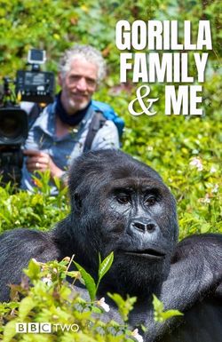 Gorilla Family & Me