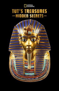 Tut's Treasures: Hidden Secrets