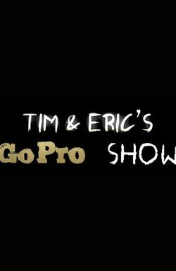 Tim & Eric's Go Pro Show