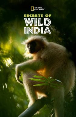 Secrets of Wild India