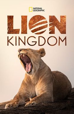 Lion Kingdom