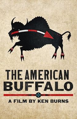 The American Buffalo