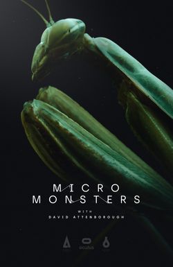 Micro Monsters with David Attenborough