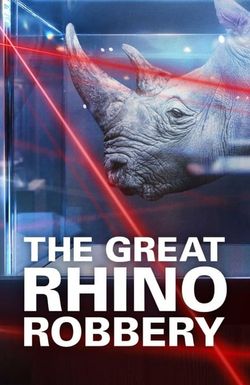 The Great Rhino Robbery