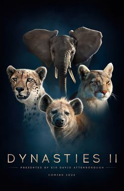 Dynasties II