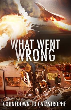 What Went Wrong: Countdown to Catastrophe