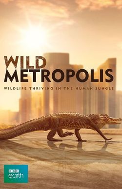 Wild Metropolis