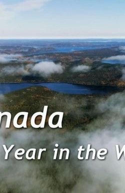 Canada: A Year in the Wild