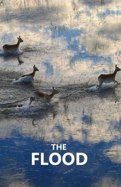 The Flood