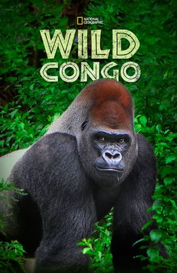 Wild Congo