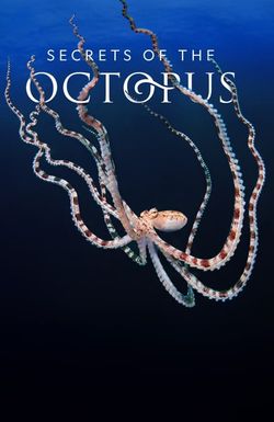 Secrets of the Octopus