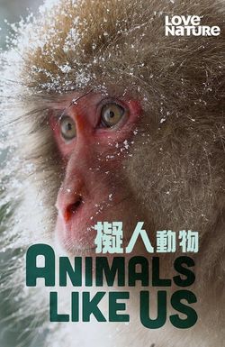 Animals Like Us