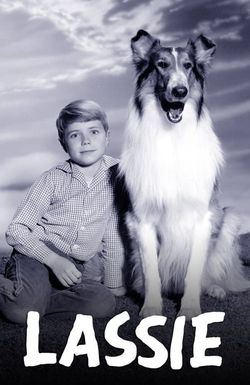 Lassie