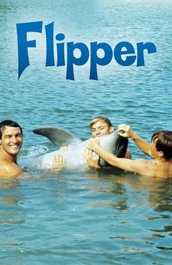 Flipper