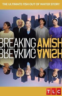 Breaking Amish