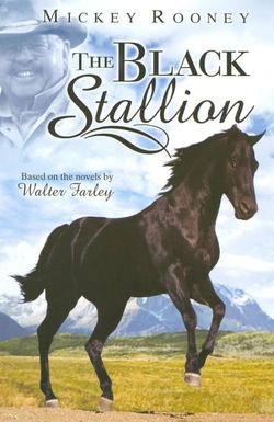 The Adventures of Black Stallion