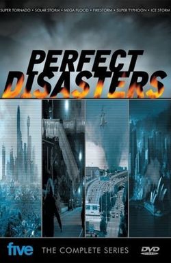 Perfect Disaster