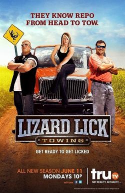 Lizard Lick Towing