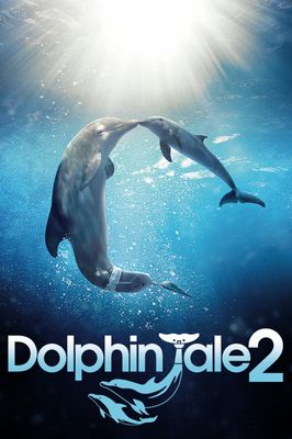 Dolphin Tale 2