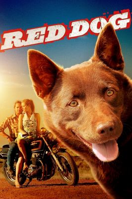 Red Dog