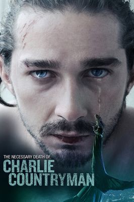 Charlie Countryman