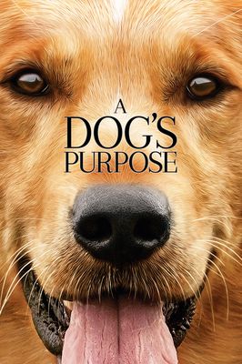 A Dog's Purpose