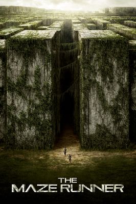 The Maze Runner