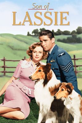 Son of Lassie