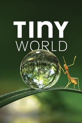 Tiny World