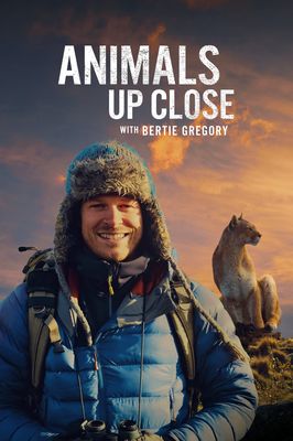 Animals Up Close with Bertie Gregory