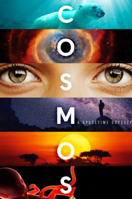 Cosmos: A Spacetime Odyssey