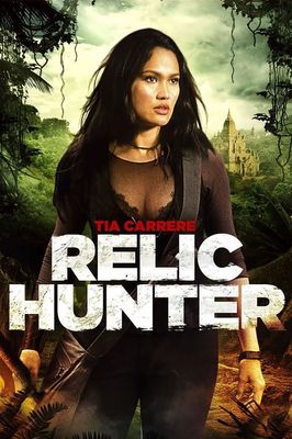 Relic Hunter