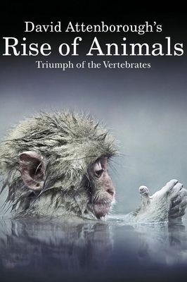 Rise of Animals: Triumph of the Vertebrates