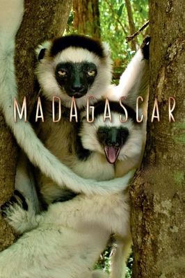 Madagascar